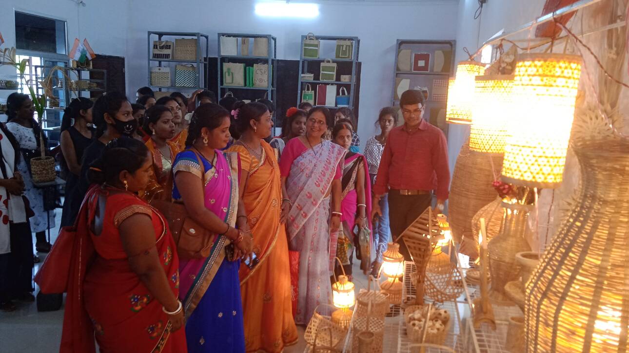 Livelihood & Empowerment